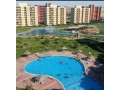 marsellia-land-small-1
